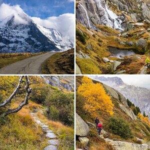 Schweiz 2014
