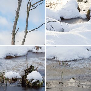 Pietzmoor im Winter Teil 5