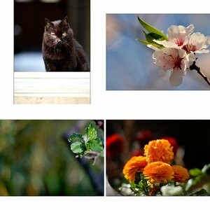 Tagebuch5