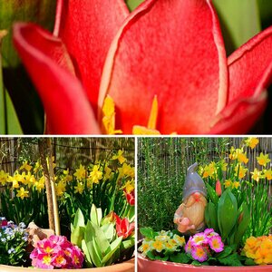Blumen