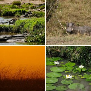 Kenia 2013 Teil 2