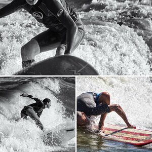 Surfin' Bird