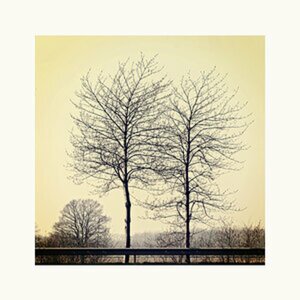 idyll?