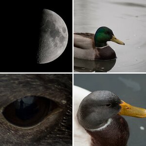 Diverses