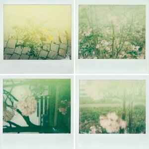 Polaroid Image 1200 Si