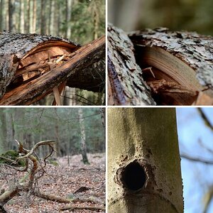 Moorwanderung 2014
