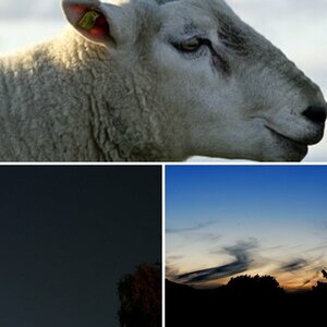 Alle meine Bilder