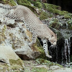 Zoo