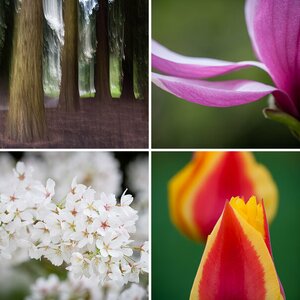 Insel Mainau (3)