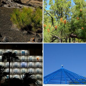 Teneriffa 2014
