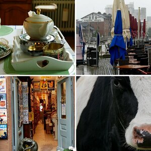 Nordische Bilder