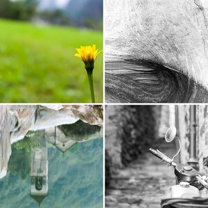 Bilder
