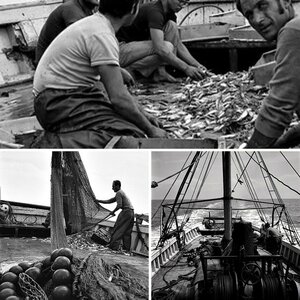 Fischerei Adria