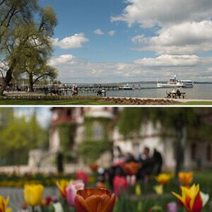 Zeiss 2.8/25 Samples
