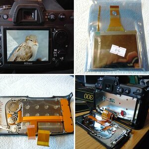 Display-Reparatur