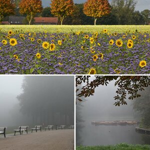 Herbst + Winter
