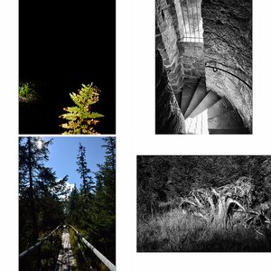 Schwarzwald_15