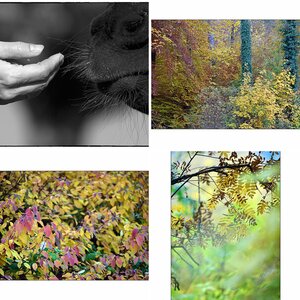 Farbe10