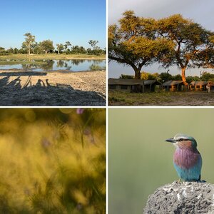 Botswana 2015