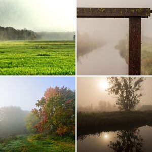 Herbst
