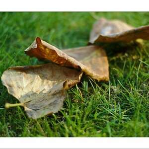 Test Skript Bildverkleinerung Linux