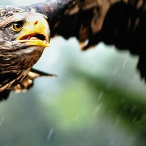 Natur