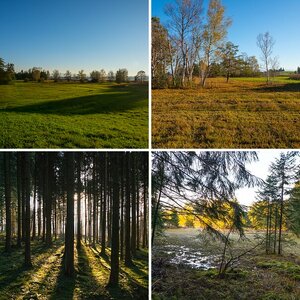 Herbst