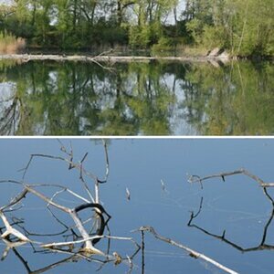 Wowe_Natur