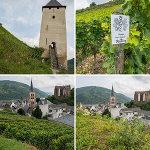 Bacharach