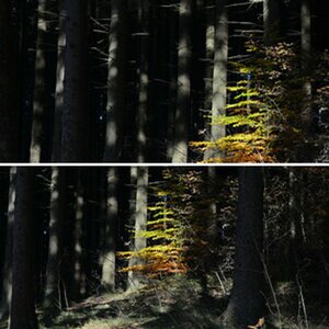 Erste Bilder