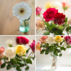Testbilder