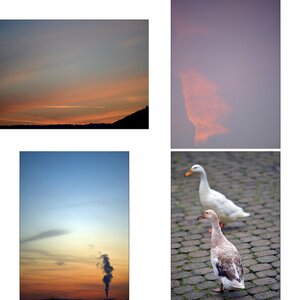 Morgen4