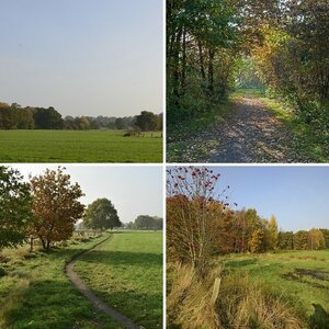 Herbst_2015_2