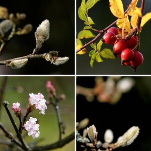 Herbstimpressionen
