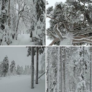 Finnland 2