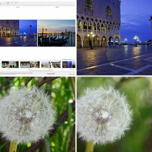 uploads 5