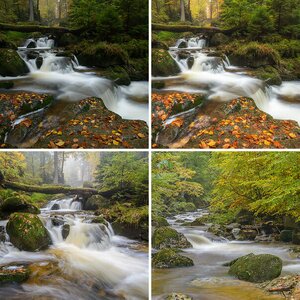Harz