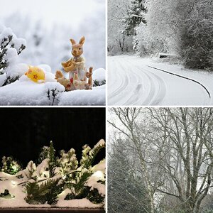 Schnee
