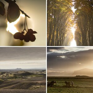 Bilder 2015