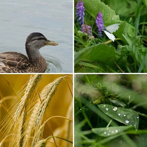 Sommer 2014