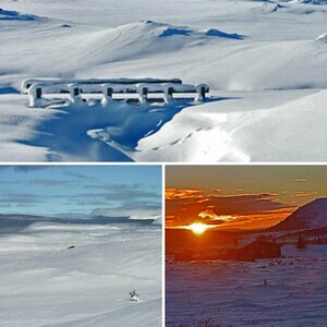 schnee