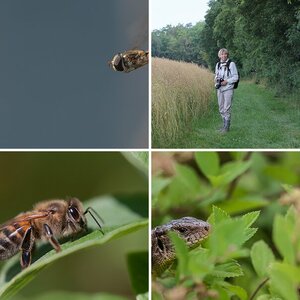 Meine Fotos