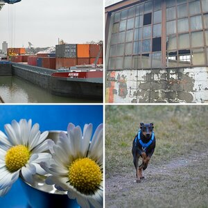 Test