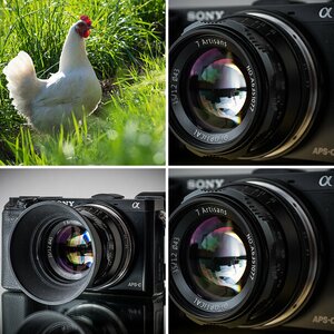 D750/6