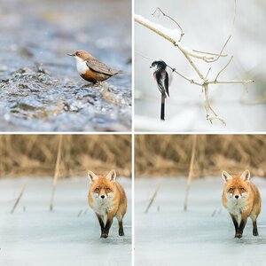Winterbilder 2016