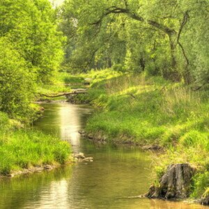 Natur pur