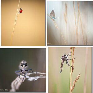 Sonstige Makros