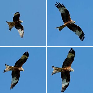 Tamron 70-210