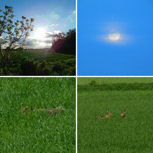 Natur