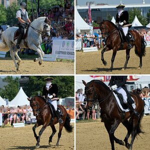 Equitana
